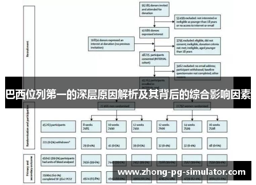 巴西位列第一的深层原因解析及其背后的综合影响因素