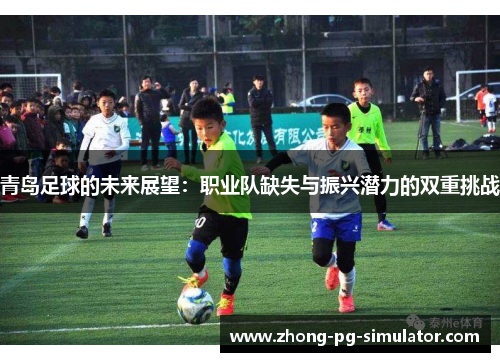 青岛足球的未来展望：职业队缺失与振兴潜力的双重挑战